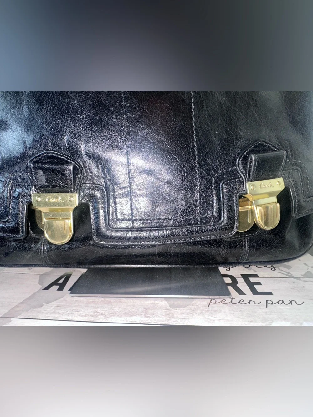 Coach Poppy Pushlock Crossbody Bag!